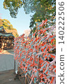 Omikuji of Esashima Shrine 140222506