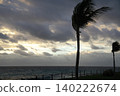 Palm trees swaying in the strong wind on the beach. 140222674