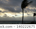 Palm trees swaying in the strong wind on the beach. 140222675