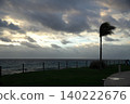 Palm trees swaying in the strong wind on the beach. 140222676