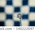 The dandelion fluff and dewdrops stand out beautifully against the checkered background. 140222697