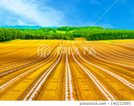 Countryside scenery of Biei Countryside scenery of Biei 140222895