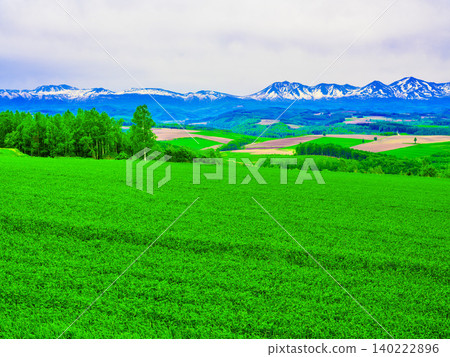 Countryside scenery of Biei Countryside scenery of Biei 140222896