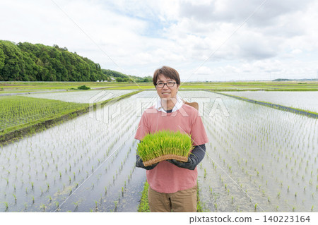 A farmer holding rice seedlings 140223164
