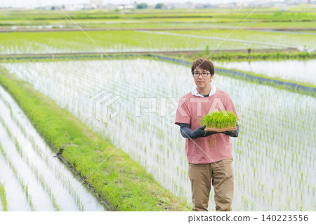 A farmer walking with rice seedlings. A farmer walking with rice seedlings. 140223556