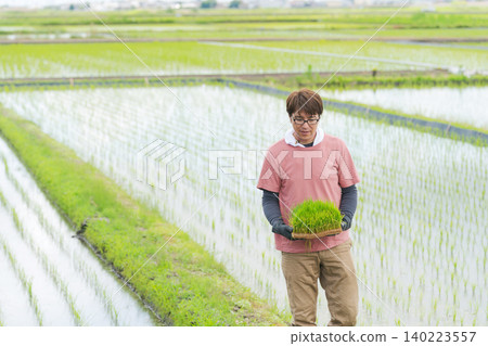 A farmer walking with rice seedlings. 140223557