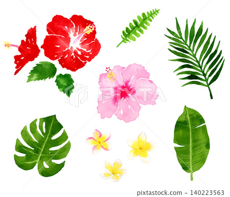 Watercolor illustrations of flowers and tropical plants in a tropical resort. Watercolor illustrations of flowers and tropical plants in a tropical resort. 140223563