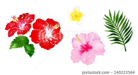 Watercolor illustrations of flowers and plants in a tropical resort. Watercolor illustrations of flowers and plants in a tropical resort. 140223564