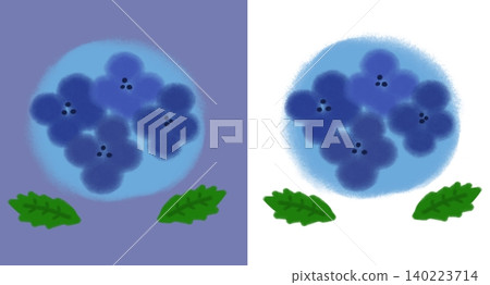 手繪藍色繡球花插圖 - 雨季,繡球花節(透明背景/PNG/JPEG) 手繪藍色繡球花插圖 - 雨季,繡球花節(透明背景/PNG/JPEG) 140223714