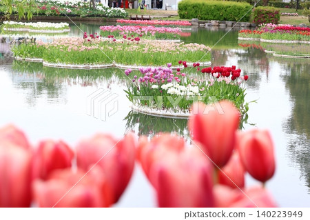 Tulip Fair 4 at Tonami Tulip Garden, Toyama Prefecture Tulip Fair 4 at Tonami Tulip Garden, Toyama Prefecture 140223949