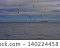 Petropavlovsk Kamchatski 140224458