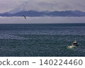 Petropavlovsk Kamchatski 140224460