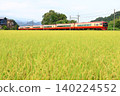 Kinugawa Onsen - Tobu Railway's 253 series limited express "Kinugawa" 140224552