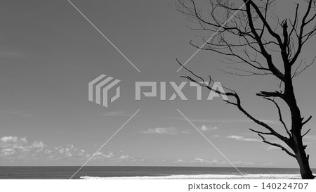 Monochrome minimalist landscape view captures a bare dead tree silhouette on the right side, overlooking rolling ocean waves under a vast sky. Beautiful black white coastal scenery showcases dramatic Monochrome minimalist landscape view captures a bare dead tree silhouette on the right side, overlooking rolling ocean waves under a vast sky. Beautiful black white coastal scenery showcases dramatic 140224707