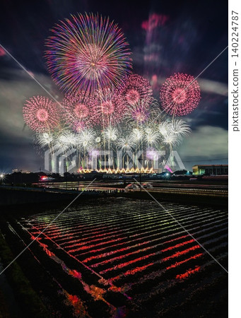 Kyoto Art Fireworks 2026: Rice Paddy Reflection - Red and White Starmines Kyoto Art Fireworks 2026: Rice Paddy Reflection - Red and White Starmines 140224787