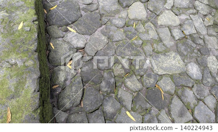 Irregular stone blocks form a weathered pavement. Dense green moss fills the deep crevices. Small yellow leaves scatter across the rough surfaces. Fine grey sand settles between the aged rocks. Irregular stone blocks form a weathered pavement. Dense green moss fills the deep crevices. Small yellow leaves scatter across the rough surfaces. Fine grey sand settles between the aged rocks. 140224943
