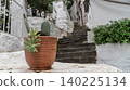 Historic narrow cobblestone alley in Marmaris Old Town, featuring traditional white-washed houses 140225134