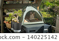 Ginger and white cat relaxing inside a cozy green pet tent on a sunny balcony, surrounded by potted plants. Peaceful domestic pet lifestyle 140225142