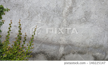 Delicate green vines crawl up the left side of a gritty gray concrete wall. The weathered surface features natural stains, aged textures. Tiny leaves create a vibrant organic contrast against the cold Delicate green vines crawl up the left side of a gritty gray concrete wall. The weathered surface features natural stains, aged textures. Tiny leaves create a vibrant organic contrast against the cold 140225147