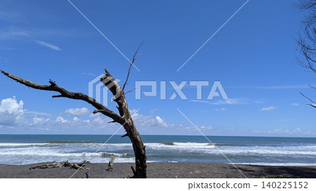 A weathered, leafless tree trunk stands on a dark sand beach. Blue ocean waves crash against the shore under a clear sky. White clouds dot the distant horizon. The scene captures a rugged, natural A weathered, leafless tree trunk stands on a dark sand beach. Blue ocean waves crash against the shore under a clear sky. White clouds dot the distant horizon. The scene captures a rugged, natural 140225152