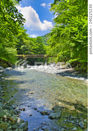[Kanagawa Prefecture] Yushin Valley 140225230