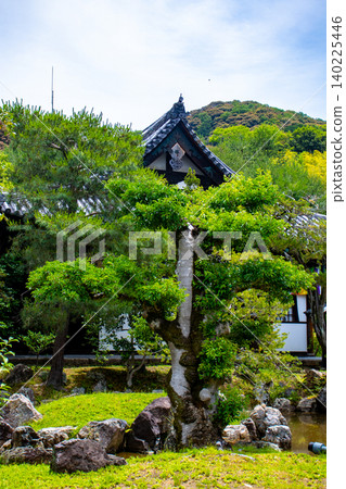 Kodaiji Temple's blessings: Good fortune, career advancement, health and longevity, protection from disaster and misfortune, success in love, matchmaking, marital harmony. 140225446