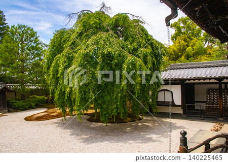 Kodaiji Temple's blessings: Good fortune, career advancement, health and longevity, protection from disaster and misfortune, success in love, matchmaking, marital harmony. 140225465