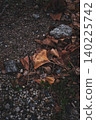 Gingko's fallen leaves 140225742