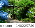 Hydrangeas at Shifukuji Temple 140225780