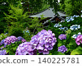 Hydrangeas at Shifukuji Temple 140225781