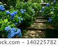 Hydrangeas at Shifukuji Temple 140225782