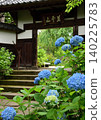 Hydrangeas at Shifukuji Temple 140225783