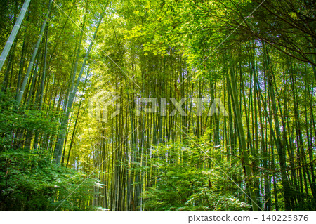 Kodaiji Temple's blessings: Good fortune, career advancement, health and longevity, protection from disaster and misfortune, success in love, matchmaking, marital harmony. 140225876