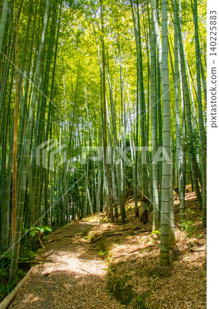 Kodaiji Temple's blessings: Good fortune, career advancement, health and longevity, protection from disaster and misfortune, success in love, matchmaking, marital harmony. 140225883