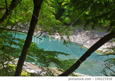 [Kanagawa Prefecture] Yushin Blue of Yushin Valley 140225916