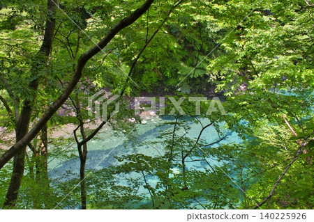 [Kanagawa Prefecture] Yushin Blue of Yushin Valley 140225926