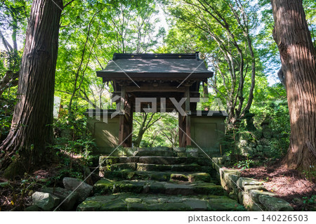 Entrance gate by giant trees to Futagoji Temple, Kunisaki, Oita 140226503