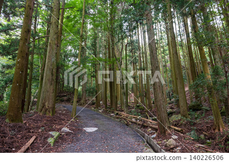 Forest path at Futagoji Buddhist temple, Kunisaki, Oita, Japan Forest path at Futagoji Buddhist temple, Kunisaki, Oita, Japan 140226506