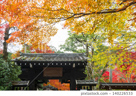 entrance roof gate by fall maple leaf in Jojakkoji temple, Arashiyama 140226533