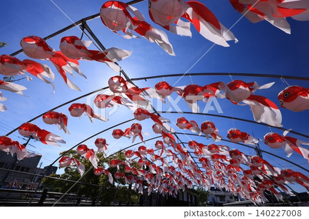 柳井金魚燈籠節 3055 柳井金魚燈籠節 3055 140227008