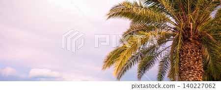 Tropical palm tree against the sunset sky. Tropical landscape Tropical palm tree against the sunset sky. Tropical landscape 140227062