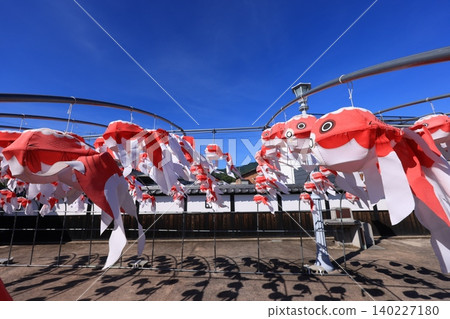 柳井金魚燈籠節 3009 140227180