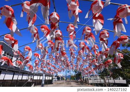Yanai Goldfish Lantern Festival 3024 Yanai Goldfish Lantern Festival 3024 140227192