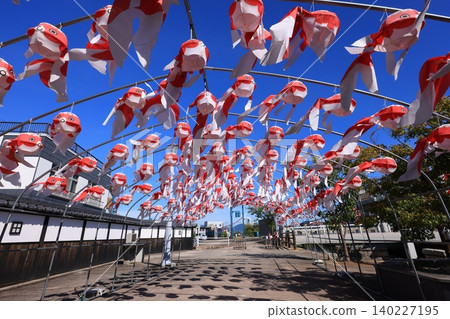 柳井金魚燈籠節 3027 柳井金魚燈籠節 3027 140227195