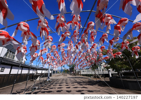 Yanai Goldfish Lantern Festival 3031 Yanai Goldfish Lantern Festival 3031 140227197