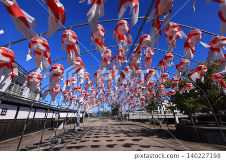 Yanai Goldfish Lantern Festival 3032 Yanai Goldfish Lantern Festival 3032 140227198
