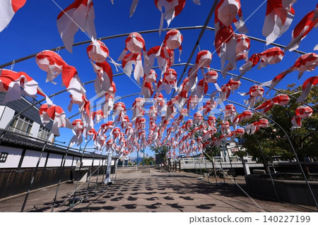 Yanai Goldfish Lantern Festival 3034 Yanai Goldfish Lantern Festival 3034 140227199