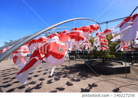 Yanai Goldfish Lantern Festival 2940 Yanai Goldfish Lantern Festival 2940 140227250