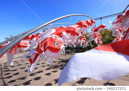 柳井金魚燈籠節 2941 140227251