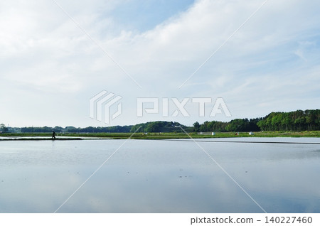 A peaceful early summer rural landscape and rice paddies spread across Hitachinaka City. A peaceful early summer rural landscape and rice paddies spread across Hitachinaka City. 140227460